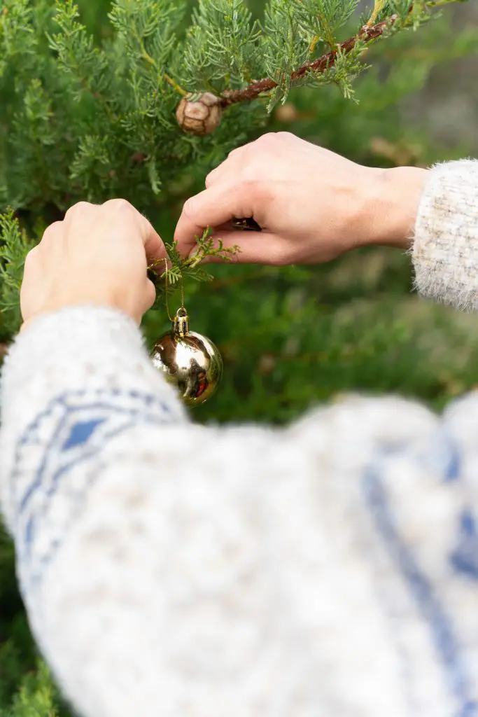REPORTAJE DE NAVIDAD