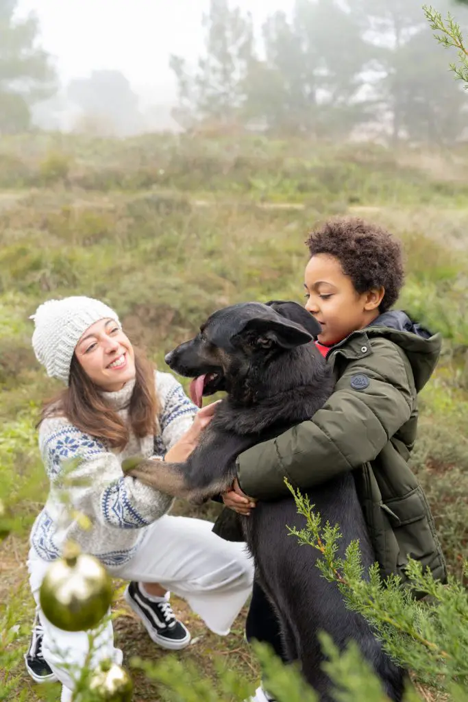 REPORTAJE DE NAVIDAD